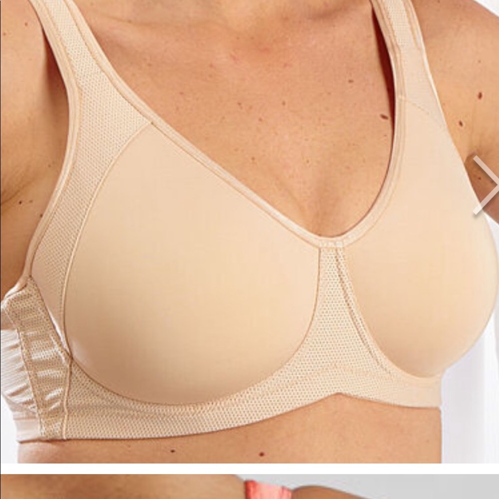 Tittle nine Cuz She Says So Underwire Sports Bra